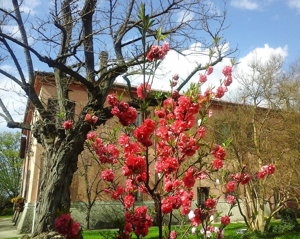 Bed and Breakfast Ca Morari Argenta Exterior foto