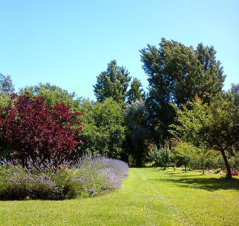 Bed and Breakfast Ca Morari Argenta Exterior foto