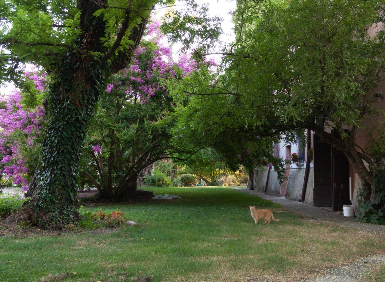 Bed and Breakfast Ca Morari Argenta Exterior foto
